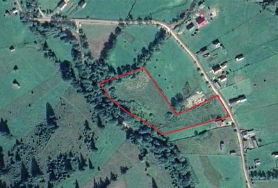 Teren Construcții intravilan de 8633 mp, în Dămuc