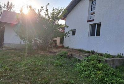 Doua case ,2000 mp teren,Slatioarele,Babana,Arges - 3