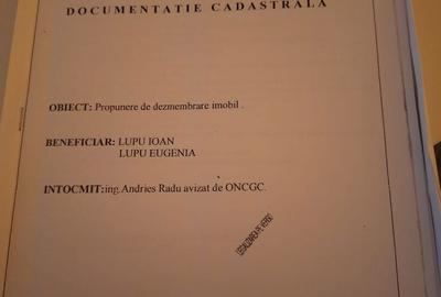 Spațiu comercial, în Bran - 4