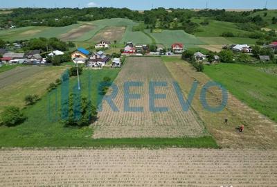 Teren de 3043 mp, în Prisaca - 6