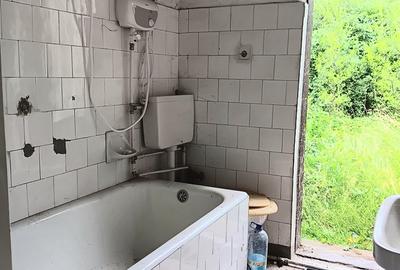 Brebu Megiesesc, casa + teren - 7