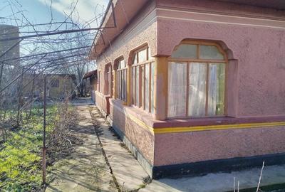 Casă cu 5 camere cu Teren 2000 Mp în Greaca - 10