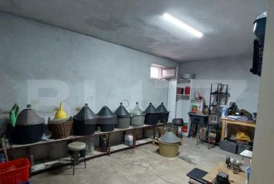 Casa/Spatiu Comercial, 620 mp, pe 3 nivele: demisol, parter, - 35