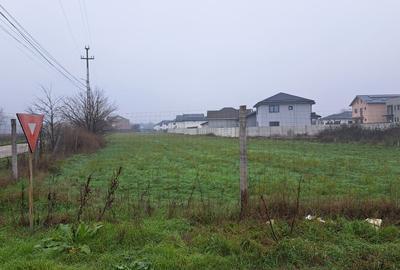 Teren Construcții intravilan de 5000 mp, în Malu Mare - 3