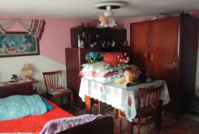 Vand casa zona linistita - 2