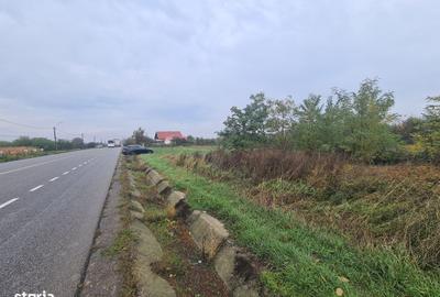 Spațiu comercial, în Dumbrava - 4