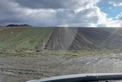 Teren de 5800 mp, în Crișeni - 1