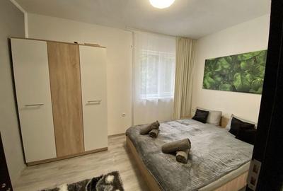 Apartament cu 2 camere, mobilat în Praid - 5