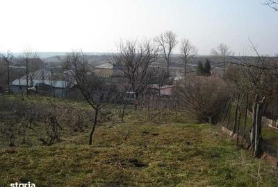 Teren de 2313 mp, în Călmățuiu - 1