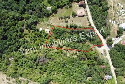 Teren de 2270 mp, în Valea Brazilor