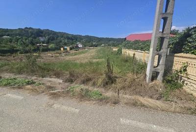 Teren de 2131 mp, în Băbana - 2