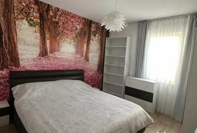 Apartament cu 2 camere semidecomandat în Băneasa - 7