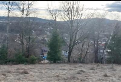 Teren Construcții intravilan de 4300 mp, în Bughea de Sus - 5