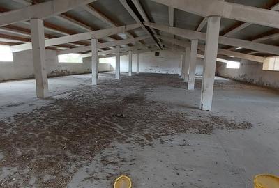 Vand Fost Complex de porci - 8