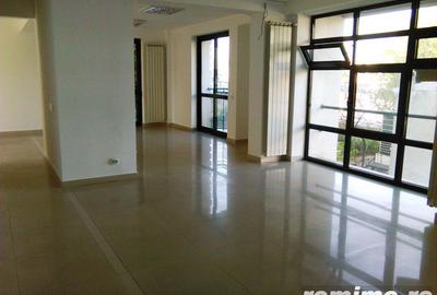 Spațiu comercial, de 1,000 mp, în Armeneasca - 2