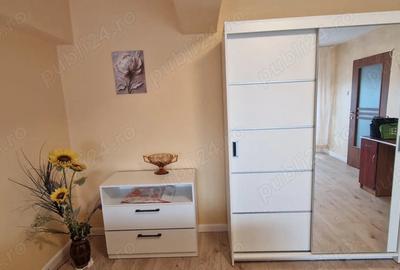 Garsonieră decomandată în Nufărul