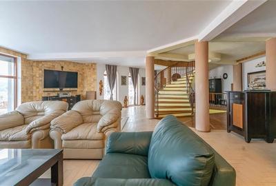 FILM! Castelariu: spectacol panoramic, locatie prestigioasa, exclusivist confort - 3