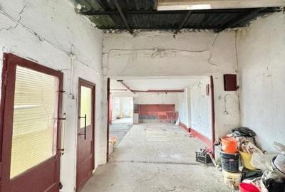 Casa individuala cu 3 camere si teren de 952 mp, zona Crisan - 24