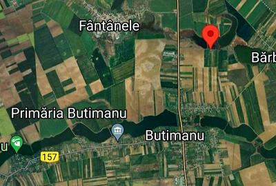 Investitie vanzare 7000 mp teren intravilan Butimanu deschidere directa la lac - 7