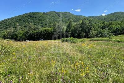 Teren de 4600 mp, în Cisnădioara