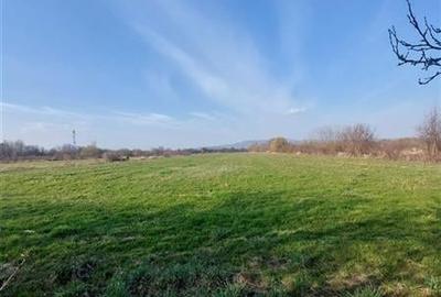 Teren Construcții intravilan de 330000 mp, în Central - 4