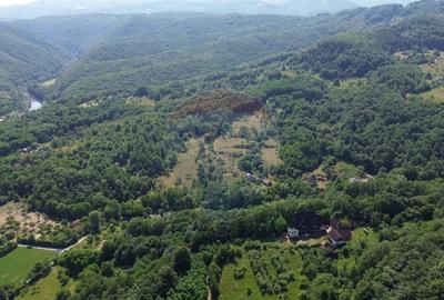 DE VANZARE CASTEL IN MARAMURES - 14