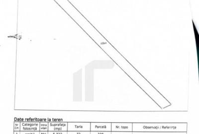 Com GRUIU_Reprezentare exclusiva_TEREN EXTRAVILAN LANGA PAD - 3