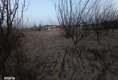 Teren de 600 mp, în Miroslava - 5