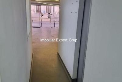 Dacia-Piata Gemeni Dacia-Piata Gemeni - 6