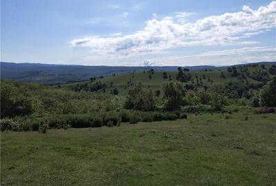 Casă cu 3 camere în Brusturi - 1