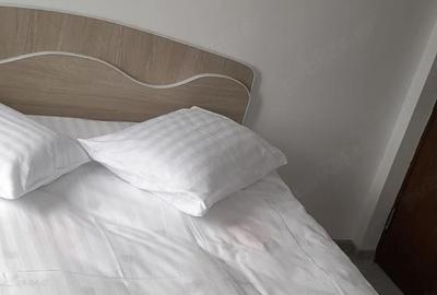 Casă cu 1 camere cu Teren 1000 Mp în Secăria - 7