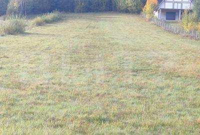 Teren intravilan zona Soarecului, 5200mp, Sucevita, Radauti - 4