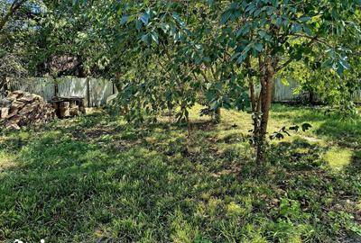 Casă cu 4 camere cu Teren 1000 Mp în Tractorul - 7