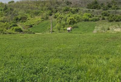 Teren de 5000 mp, în Vrănești - 2
