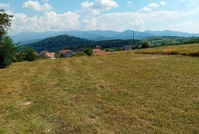 Teren de 500 mp, în Șelimbăr - 5