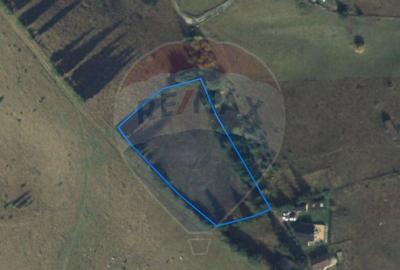 Priveliste minunata spre Bugeci, Magura,Piatra Craiului ... - 4