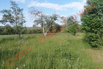 De vânzare teren intravilan în Estelnic! - 7