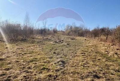 Casă cu Teren 6000 Mp în Călinești - 5