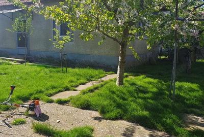 Vand casa Bicaci - 1