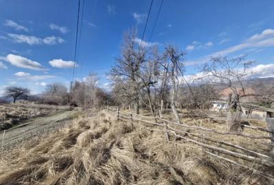 Teren în Central - 1