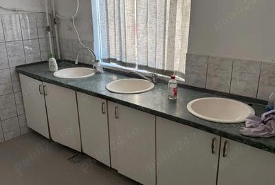 Spațiu comercial, de 400 mp, în Sânnicolau Mic - 4