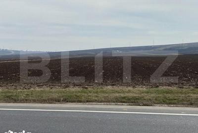 Teren de 6700 mp, în Șcheia - 1