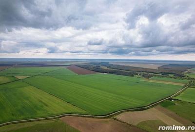 Teren arabil de 532 hectare in Mehedin?i - 1