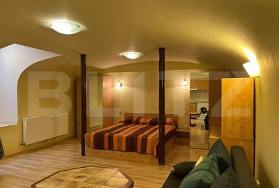Apartament tip studio, 40 mp, terasa, zona Ultracentrala - 2