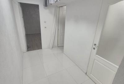 Apartament cu 2 camere decomandat, mobilat în Iosefin - 8