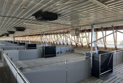 Spațiu industrial, de 5,000 mp, în Tișița - 1