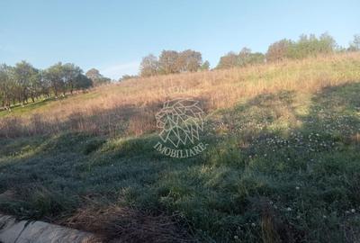 Teren agricol intravilan de 12614 mp, în Ghirolt - 2