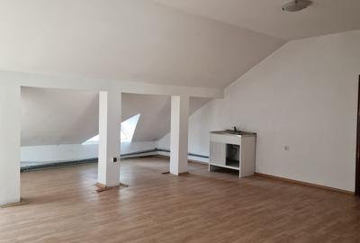 Casă individuală cu 7 camere cu Garaj în Splaiul Unirii - 27