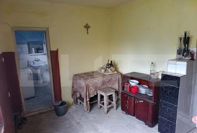 Casa renovabila ,spatioasa,cu un teren generos si gradina in - 15