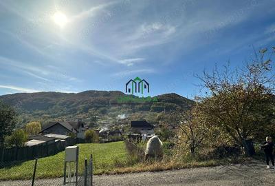 Teren de 1020 mp, în Vlădești
